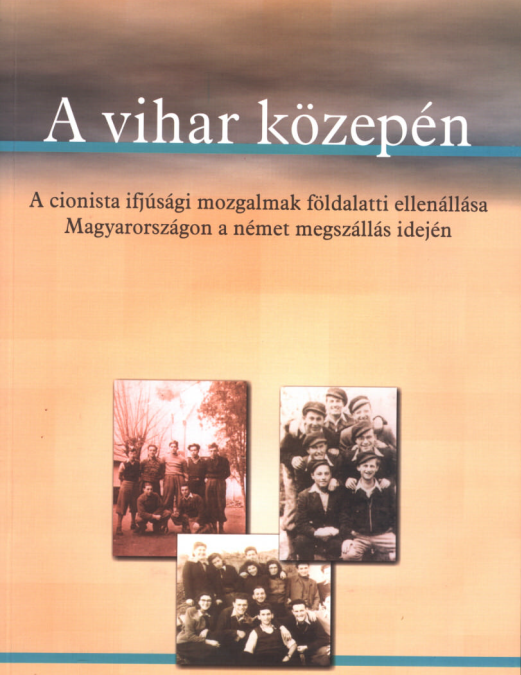 A vihar közepén – ebook